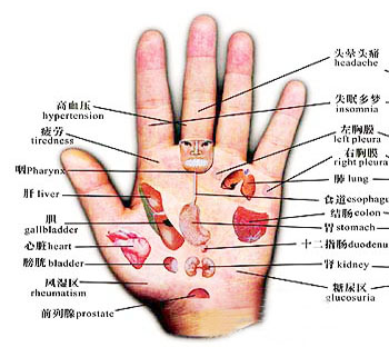 看手相知健康 轻松消除肩周炎