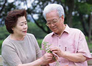 老人经常补充哪些营养可防耳鸣