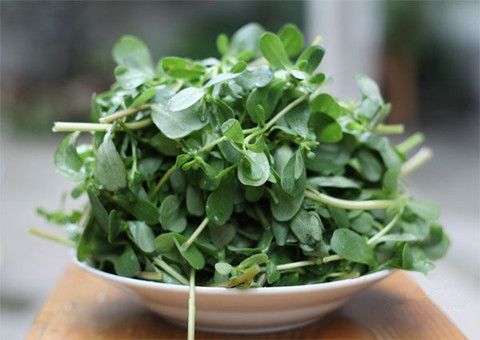 食用小野菜可解决湿疹问题