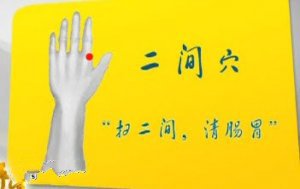 20141112贵州卫视养生视频和笔记：王雷讲毛刷治疗便秘及高血压