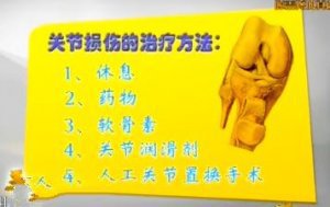20141203贵州卫视养生视频和笔记:康南讲膝关节疼痛的原因及治疗