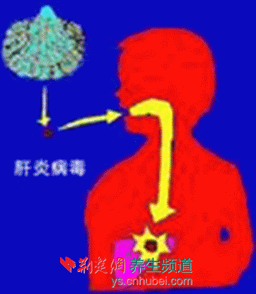 甲肝是个什么样的病