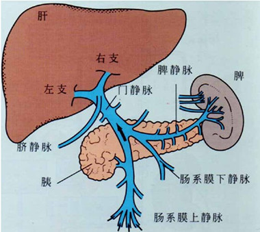 急性肝炎治疗的注意事项