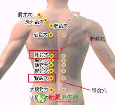 预防肝癌的方法 人体防肝癌穴位