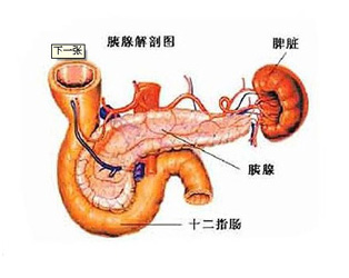 胰腺癌晚期扩散转移该怎么治疗才好