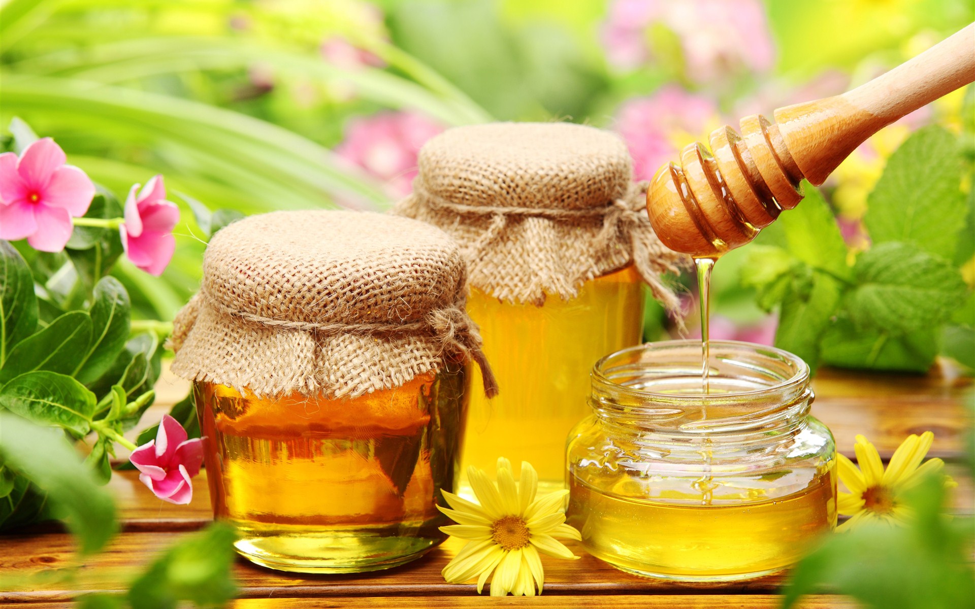 春季吃蜂蜜的好处 不同蜂蜜的养生功效各不同(2)