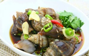 吃海螺的禁忌 食用海螺脑易中毒