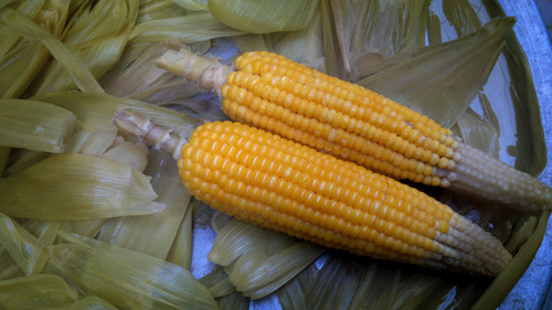 多吃玉米可养生保健 玉米的健康和功效价值