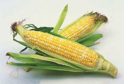 玉米减肥营养食谱的工艺方法