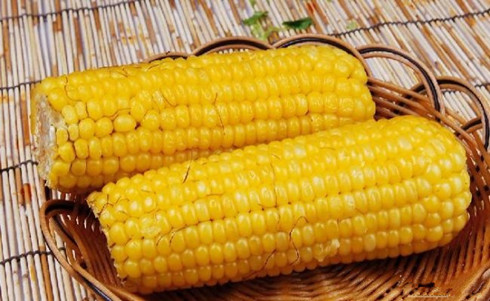 皮肤过敏病人可以吃玉米吗