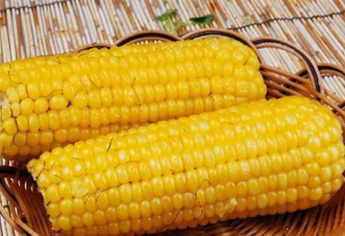 玉米的营养价值 玉米养生7大功效