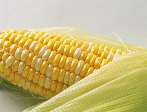 玉米的营养价值 玉米养生7大功效(3)