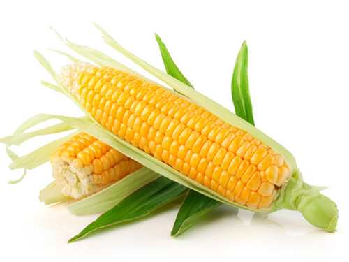玉米好吃功效多 粗粮补充多营养