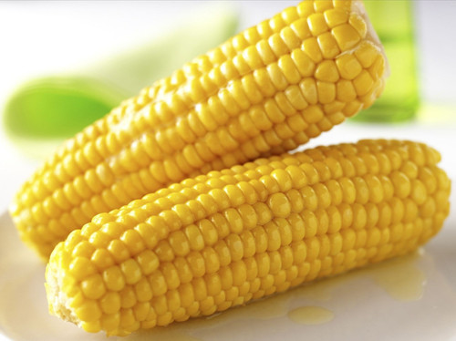 健康小常识 玉米的功效和作用