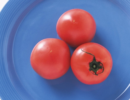 西红柿的营养价值及食用方法
