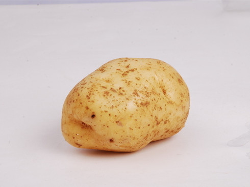 地下人参 土豆含有8种氨基酸