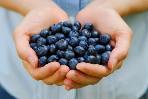 吃蓝莓10个顶级理由：预防癌症