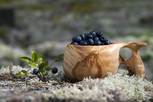 蓝莓营养价值 蓝莓怎么吃最有营养(2)