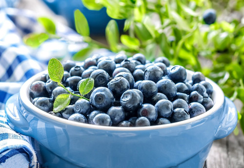 蓝莓营养价值 蓝莓怎么吃最有营养(3)