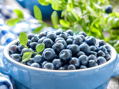 让你选择吃蓝莓的5大原因