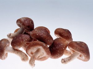 香菇的功效与作用有哪些
