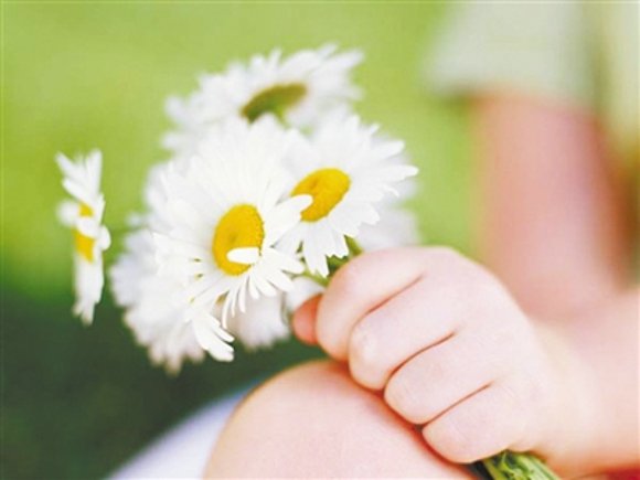 谷雨时节赏花忙 生活妙招防过敏