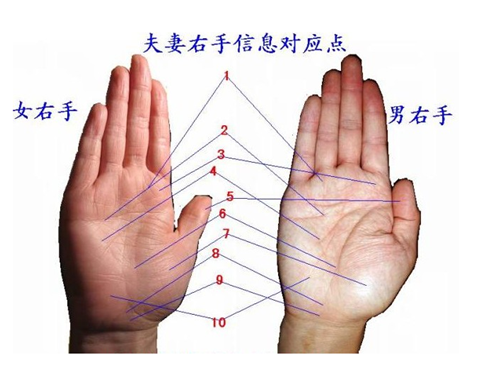 如何学会看掌纹爱情线呢？(3)