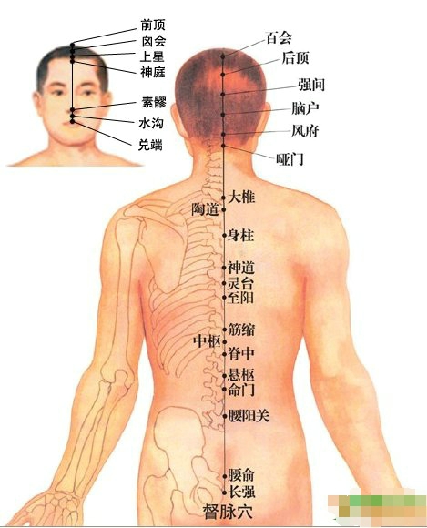 中医经络养生 了解什么阳经和阴经