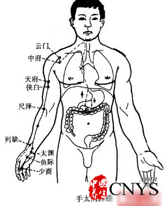 经络拍打养生法 九方法助你养生