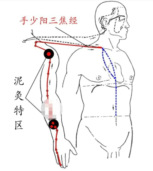 三焦经的作用 如何按摩三焦经