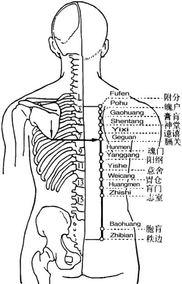 膀胱经的作用 膀胱经的穴位功效