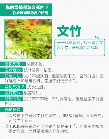 家养绿色植物 9张图教你怎么把绿色植物养好