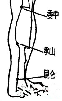 上班族常按这6大养生穴位 防治职业病(3)