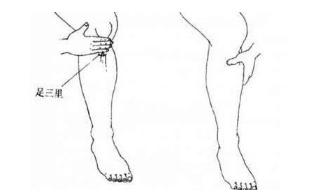 神穴＂足三里＂7大养生好处 调理脾胃(2)