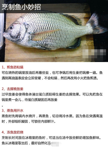 如何处理海鲜 夏季海鲜处理宝典