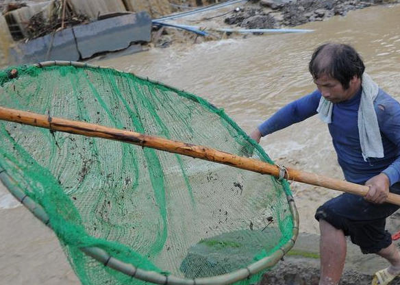 贵州雷山遭暴雨袭击 村民洪水中捞鱼