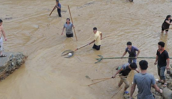 贵州雷山遭暴雨袭击 村民洪水中捞鱼