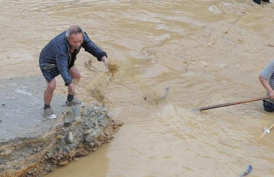 贵州雷山遭暴雨袭击 村民洪水中捞鱼