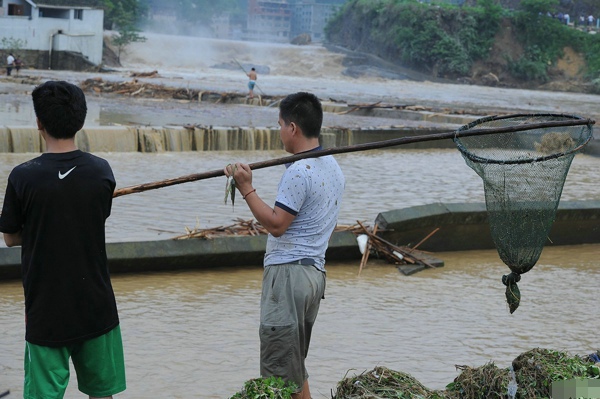 暴雨导致雷山洪水 灾民淡定洪水中捞鱼