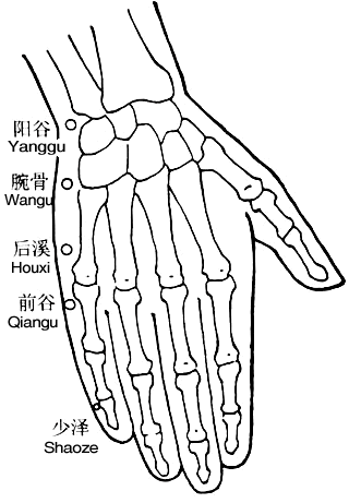 中医丰胸方法 八个丰胸穴位让你挺起来