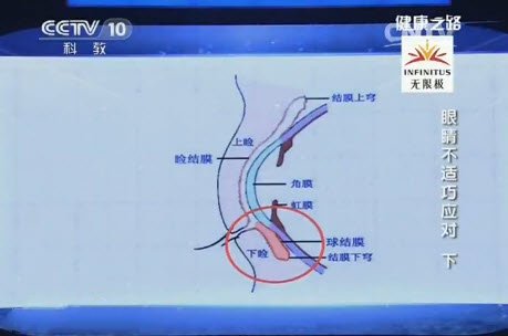 结膜下穹的位置