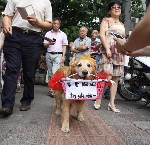 盘点高考考场那些奇葩事