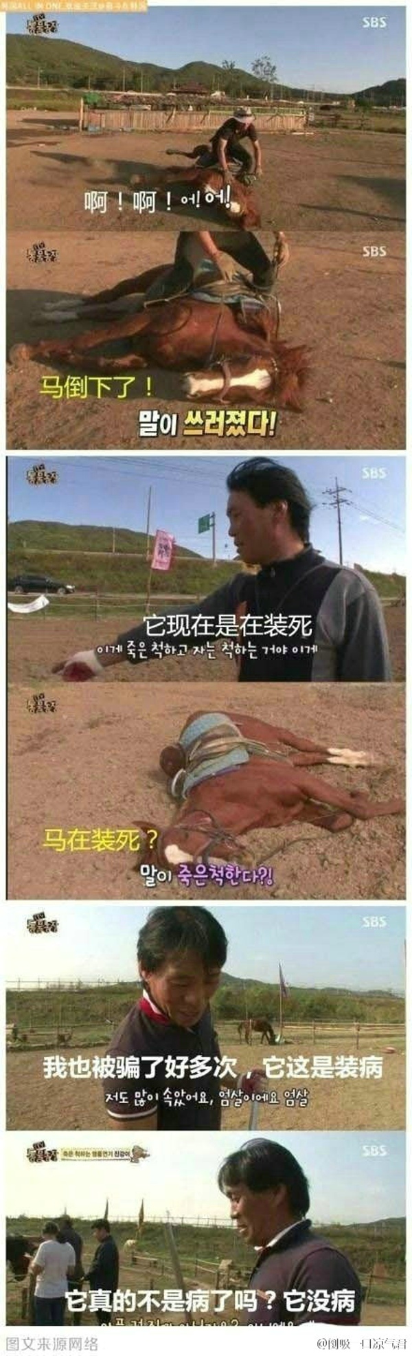 爆笑囧图之一匹心机马