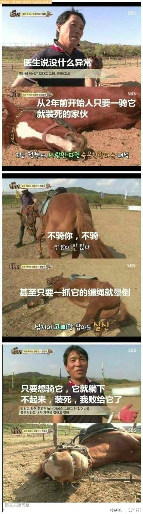 爆笑囧图之一匹心机马