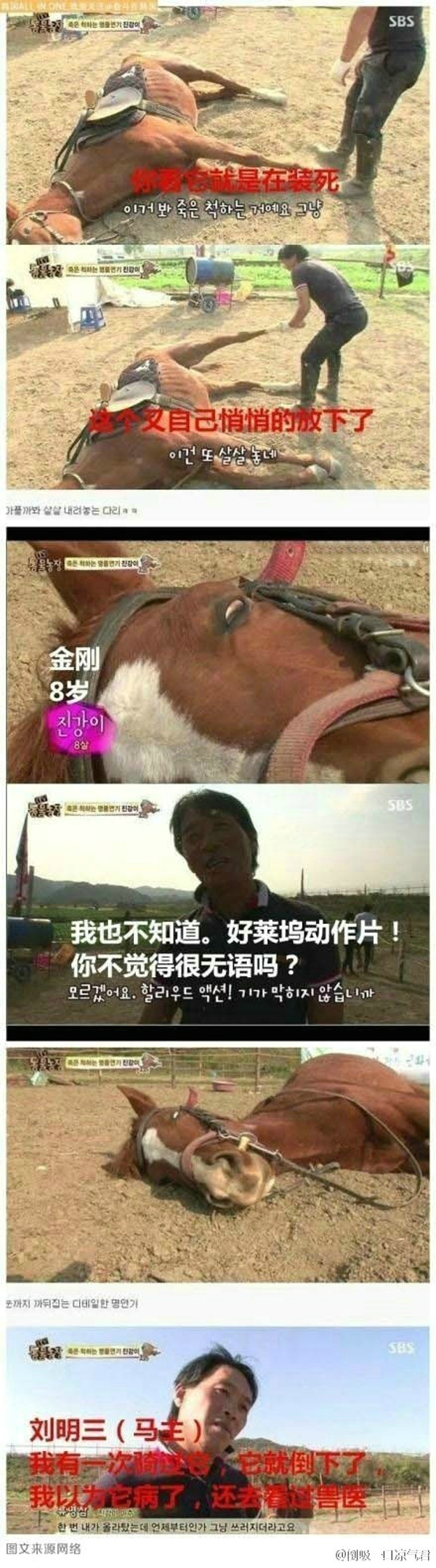 爆笑囧图之一匹心机马