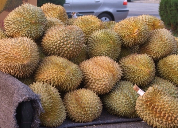 榴莲食用禁忌 榴莲不能温性食物同吃