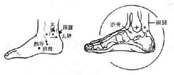 按摩穴位瘦腿 八个穴位拥有修长美腿