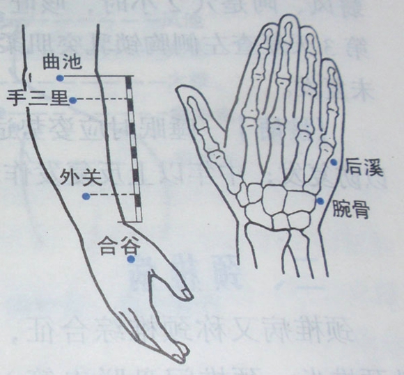 穴位图 功效作用图文详解