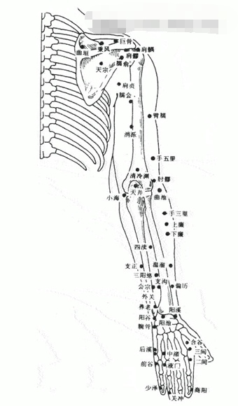 穴位图 功效作用图文详解