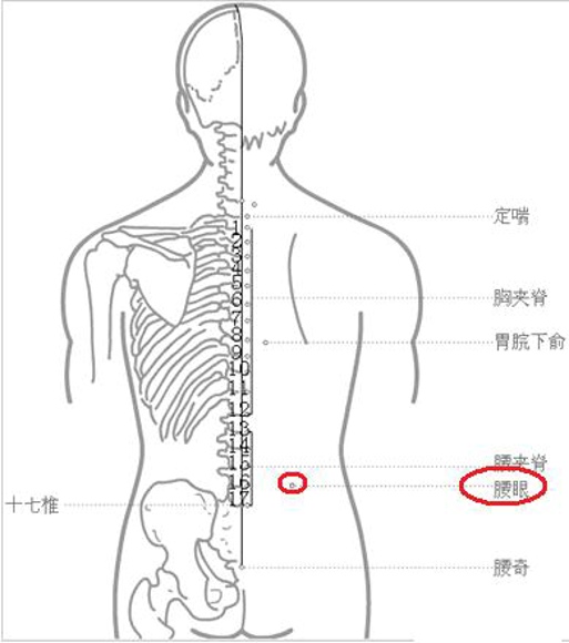 养生穴位 按摩腰眼穴强腰健肾